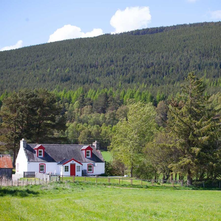 The Croft Cottage - Near Aviemore Luaran gambar